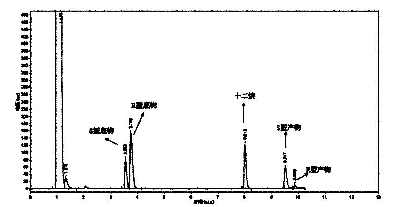 Rhodococcus ZJPH1003 and application thereof in preparing S-(+)-2,2-dimethylcyclopropane carboxylic acid