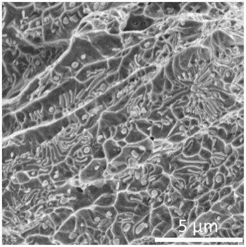Rare earth modified high oxygen titanium powder for 3D printing and preparation method
