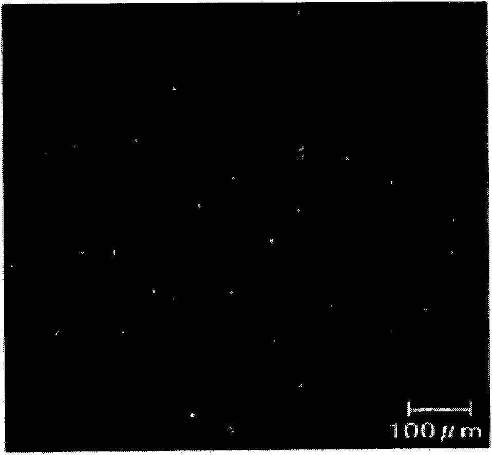 Aqueous dispersion containing polysaccharide particulate gel and method for producing the same