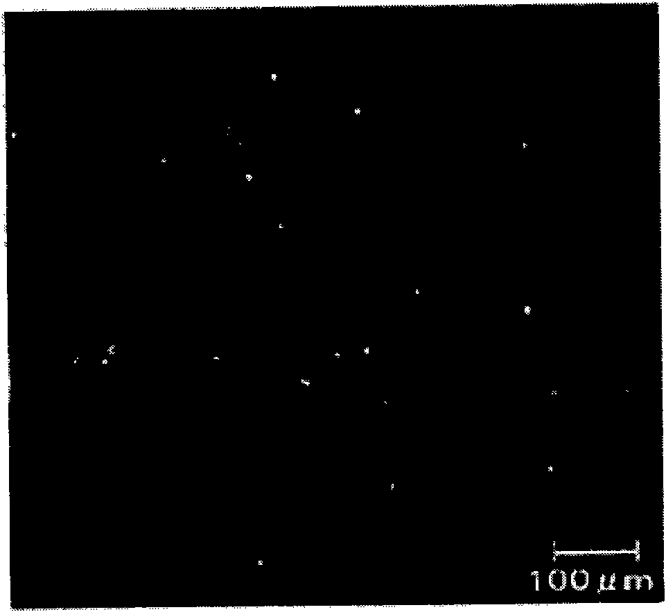 Aqueous dispersion containing polysaccharide particulate gel and method for producing the same