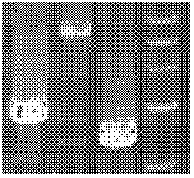 Method of performing traceless knockout and integration on gene of Acidithiobacillus caldus