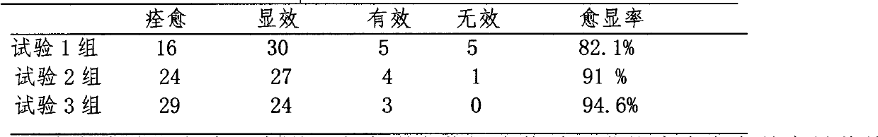 Traditional Chinese medicine composition for treating herpes zoster and preparation method thereof