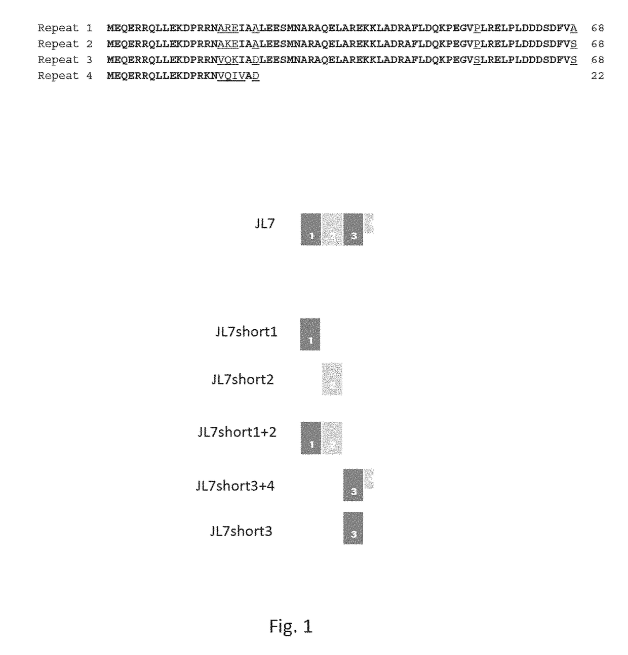 Recombinant trypanosoma cruzi jl7 antigen variants and their use for detecting chagas disease