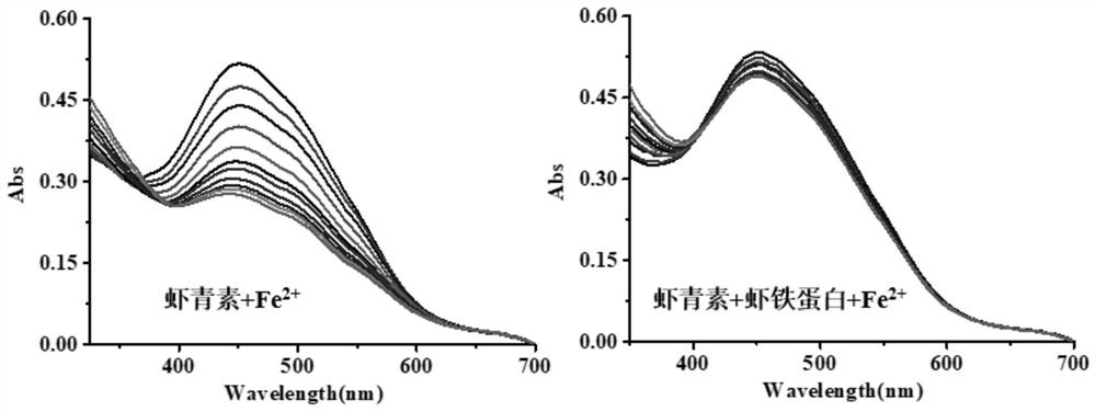 Method for improving water solubility of astaxanthin and protecting astaxanthin from oxidative degradation of Fe&lt;2+&gt;