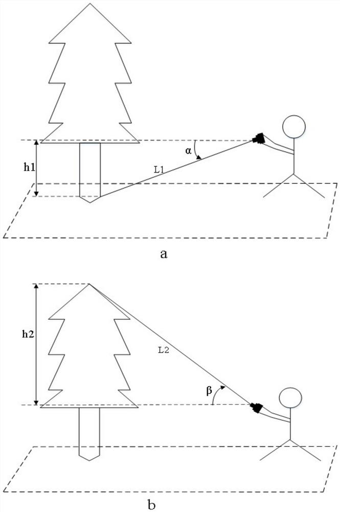 Device and method for measuring breast-height diameter and height of standing tree