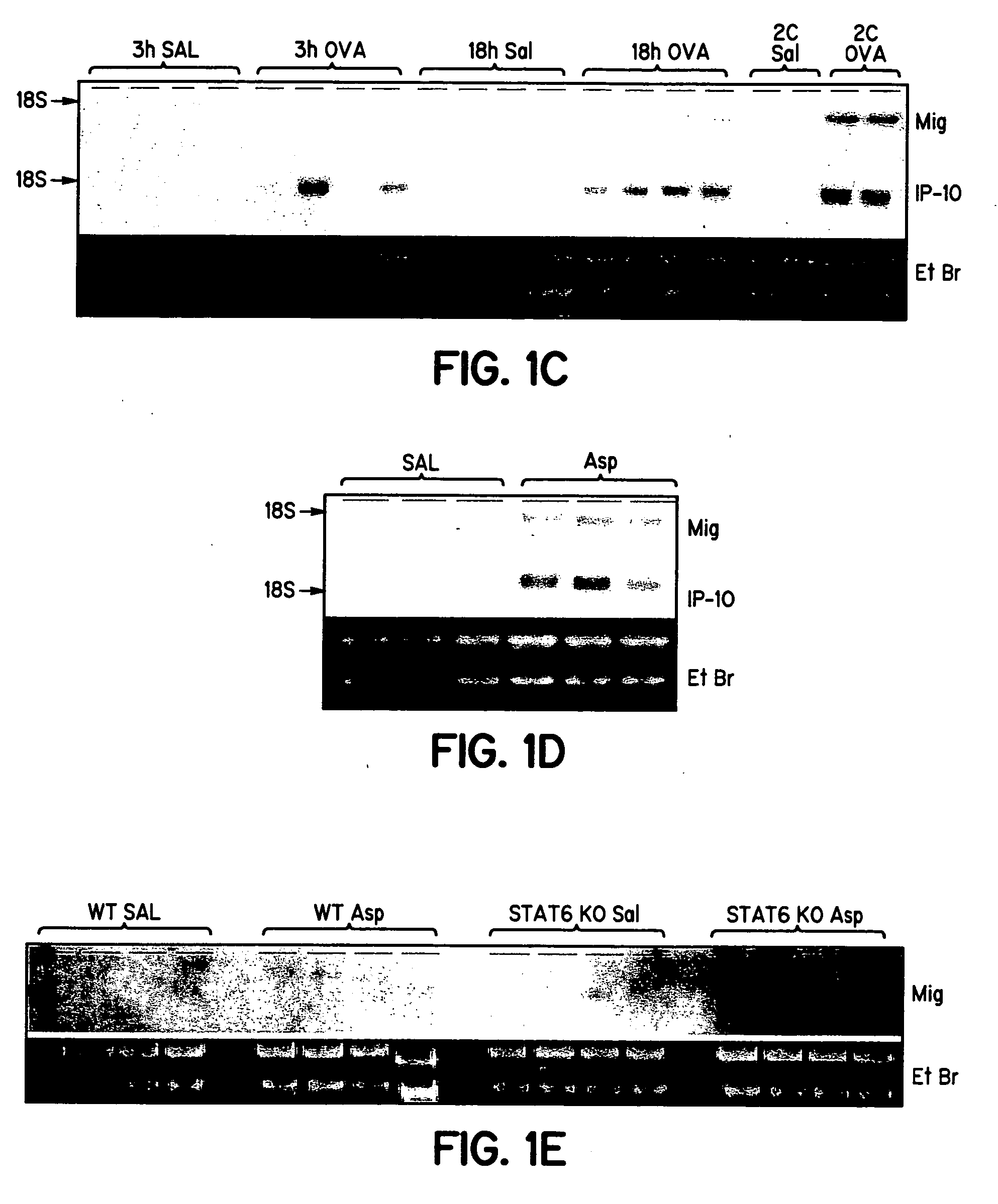 Cytokine inhibition of eosinophils