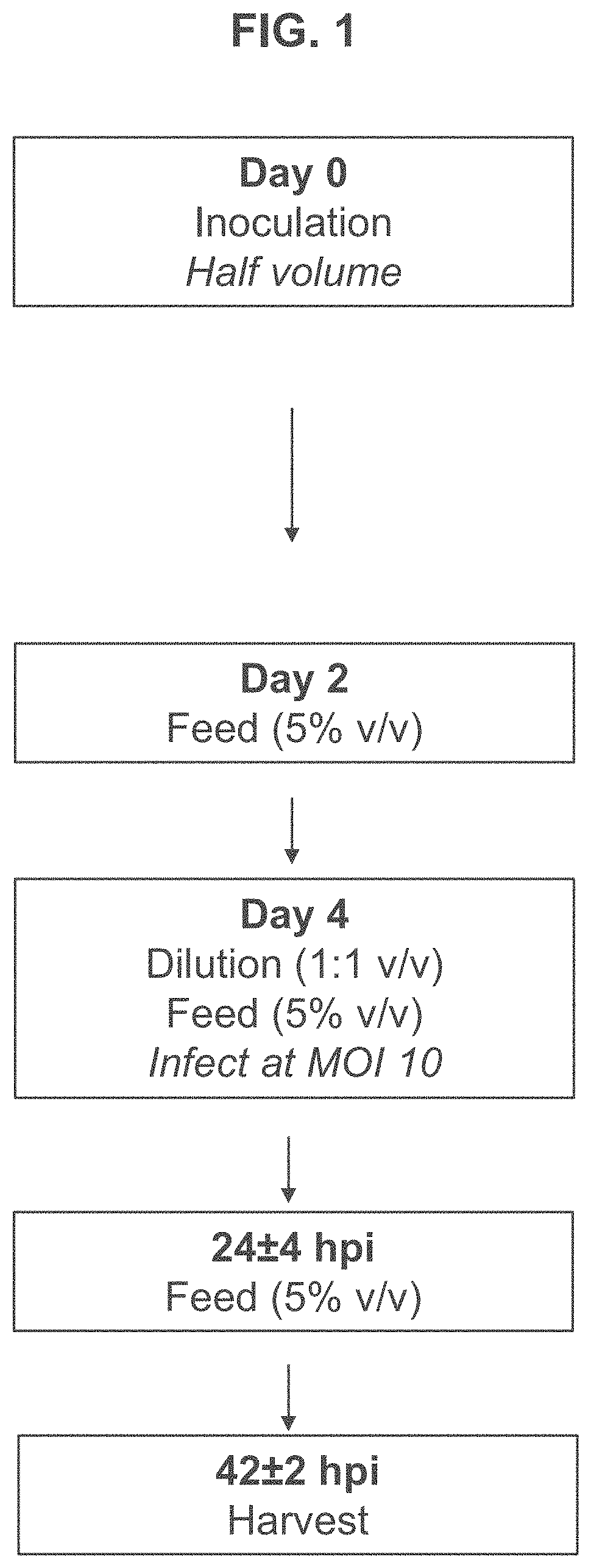 Methods of producing adenovirus