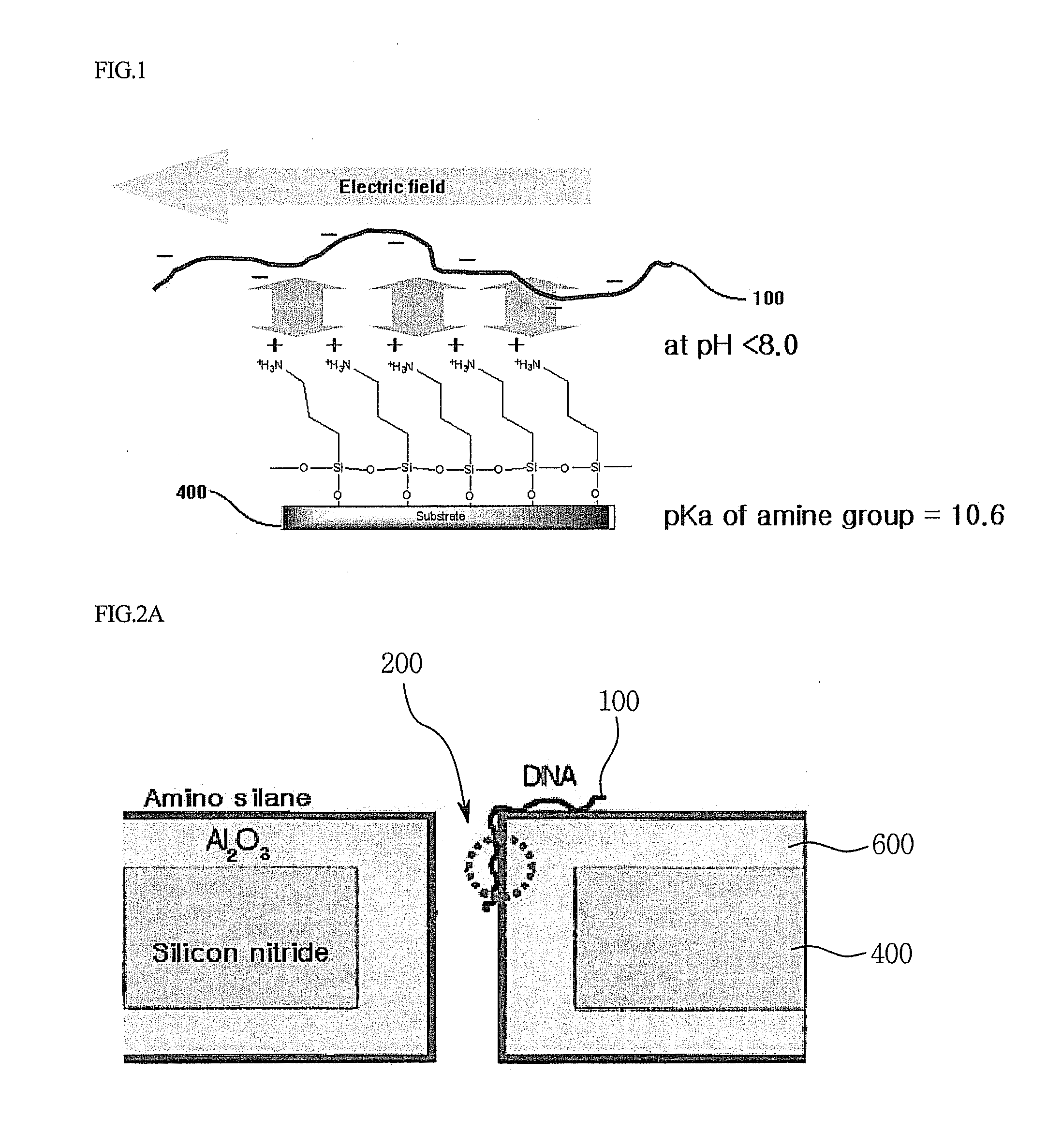 Method and device for detecting DNA using surface-treated nanopore