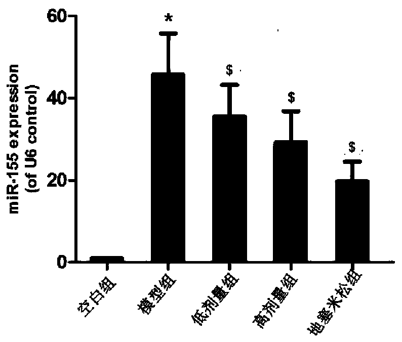 Application of radix astragali and radix ophiopogonis blood circulation promoting drink in preparation of microRNA-155 inhibitor