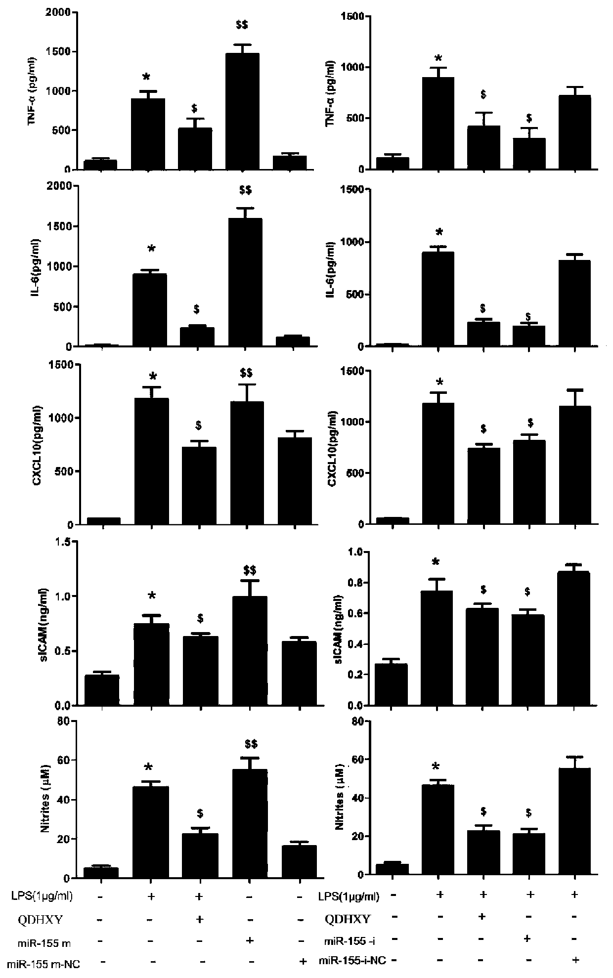 Application of radix astragali and radix ophiopogonis blood circulation promoting drink in preparation of microRNA-155 inhibitor