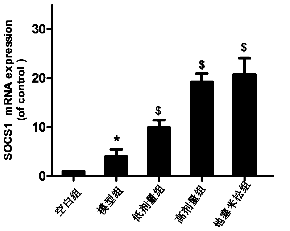 Application of radix astragali and radix ophiopogonis blood circulation promoting drink in preparation of microRNA-155 inhibitor