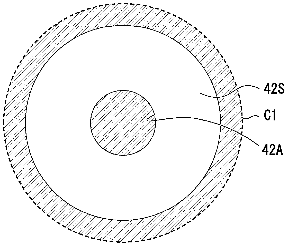 Shielding member and apparatus for single crystal growth