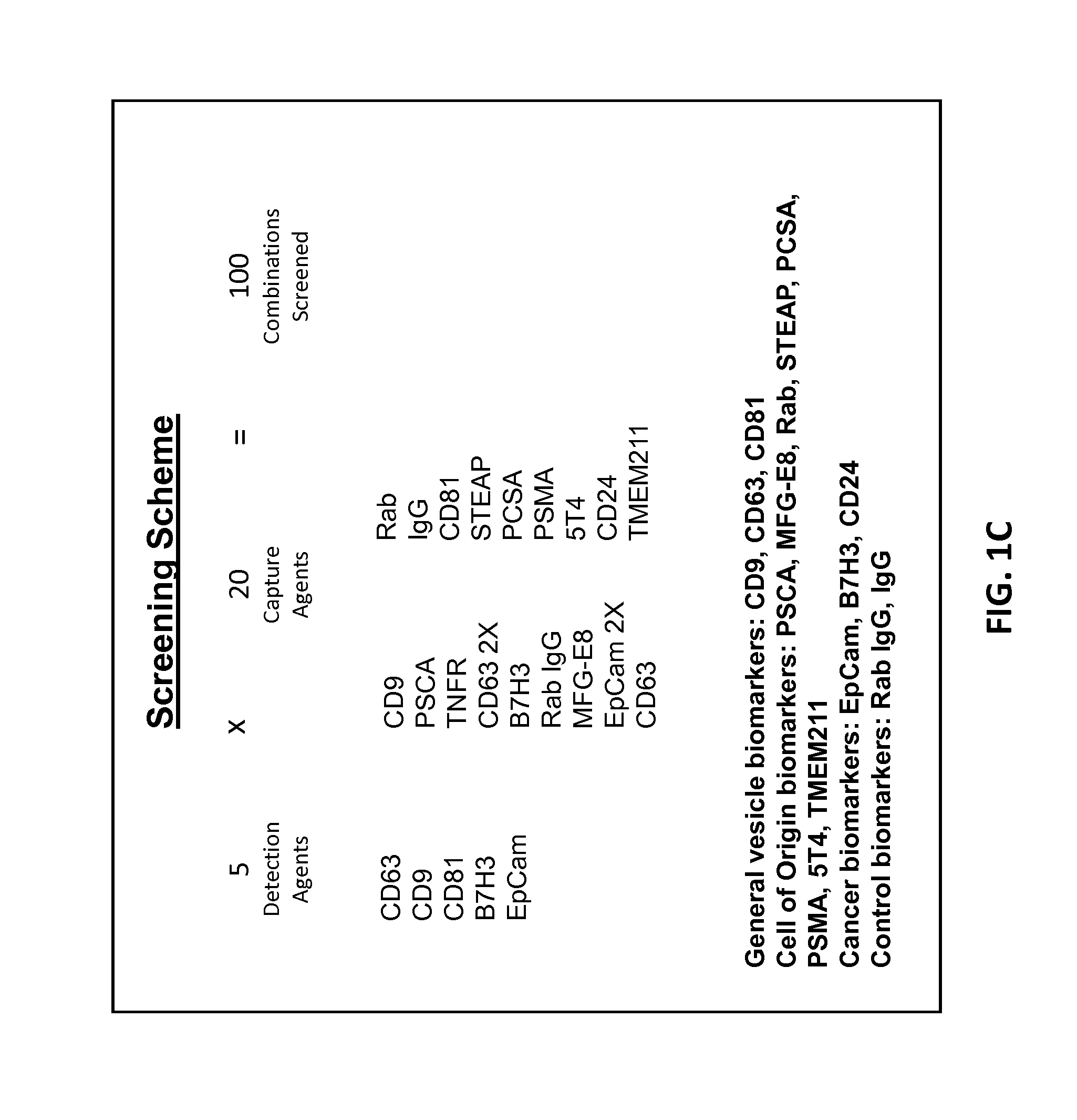 Compositions and methods for aptamer screening