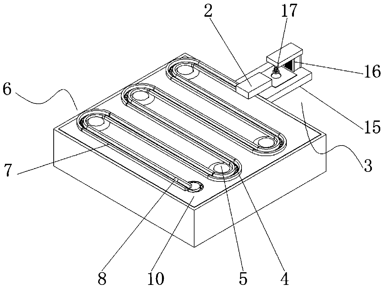 Laser nondestructive detecting device for litchi internal characteristics