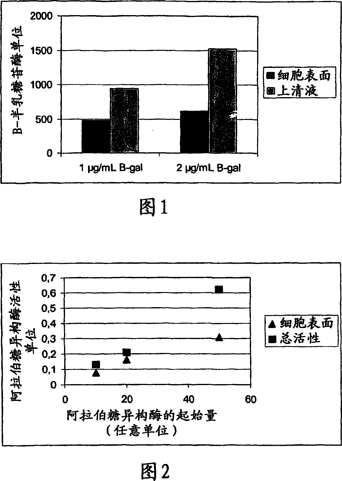 Pharmaceutical composition comprising a bacterial cell displaying a heterologous proteinaceous compound