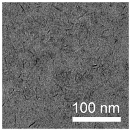 Method for synthesizing manganese-containing nano-biomaterial and application of manganese-containing nano-biomaterial