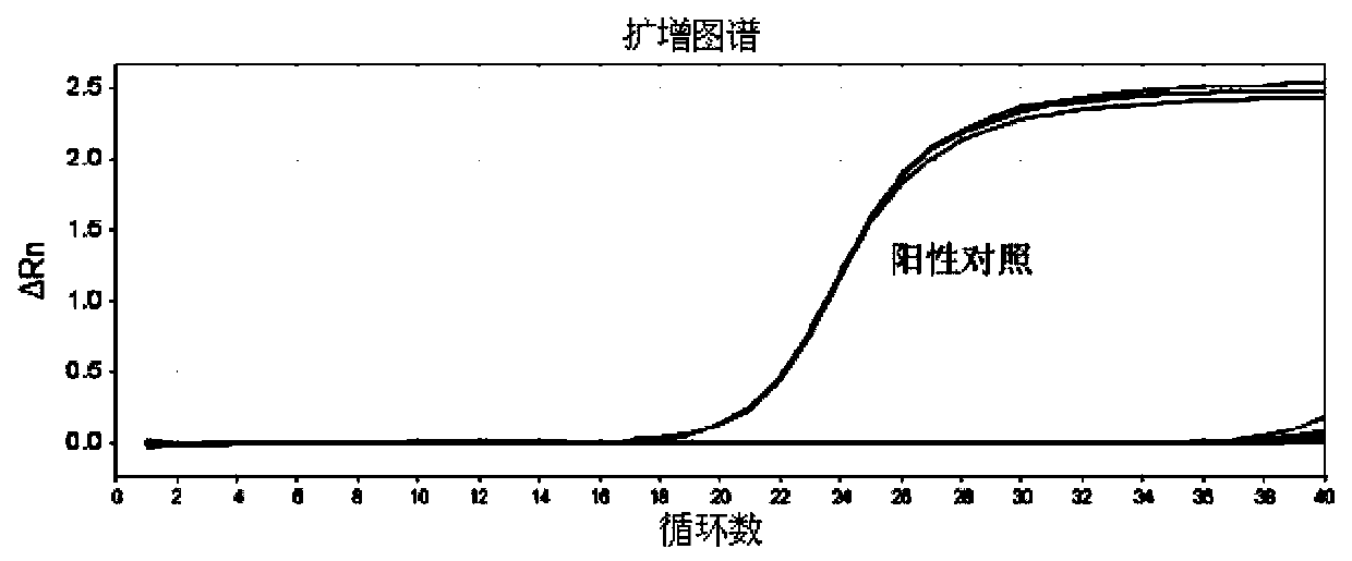 Primer set for real-time fluorescent quantitative PCR detection of swine influenza virus