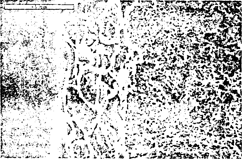 Method for preparing ohm contact electrode made from temperature sensing ceramics