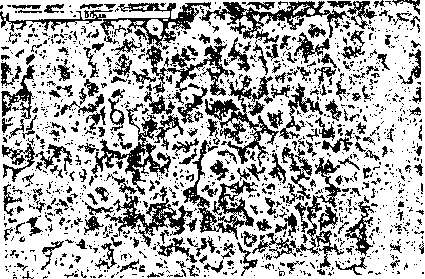 Method for preparing ohm contact electrode made from temperature sensing ceramics