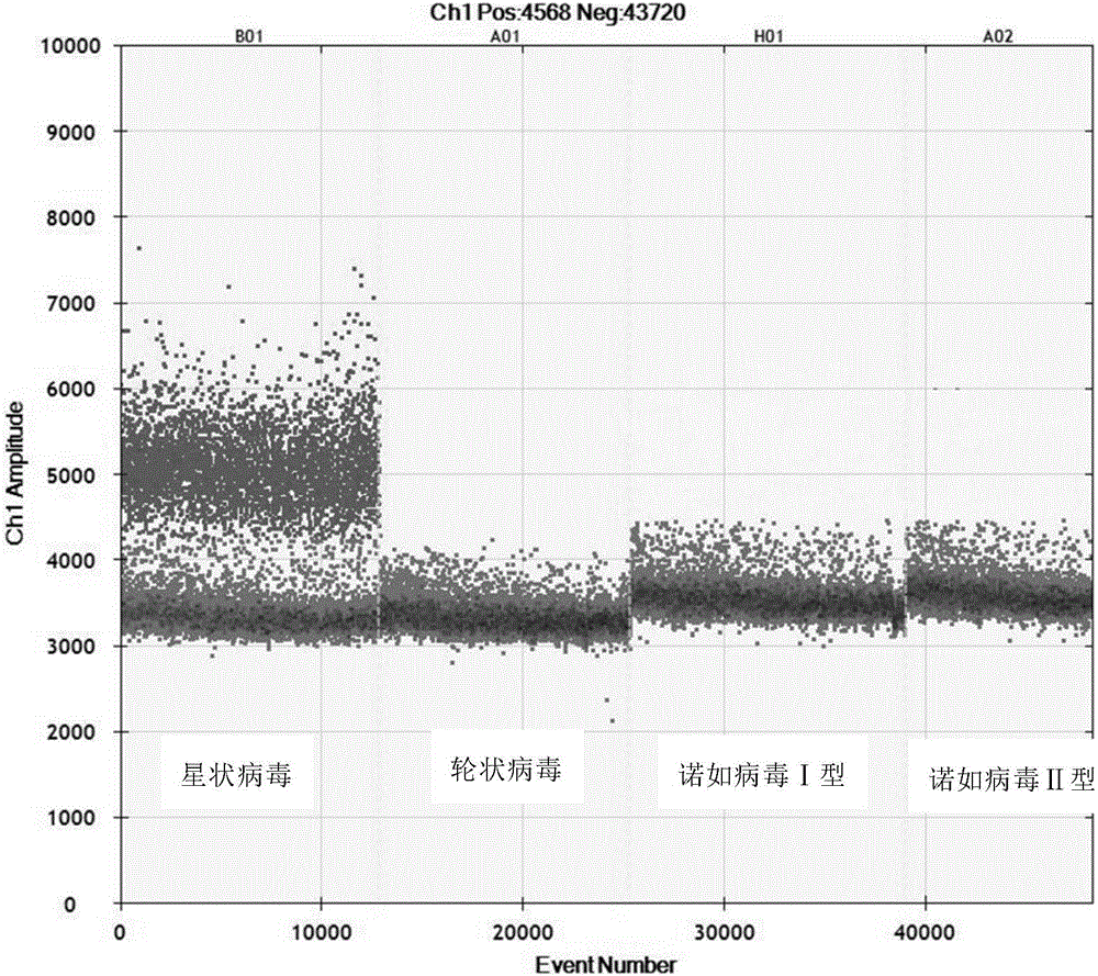 Kit and detection method for accurately and quantitatively detecting astrovirus