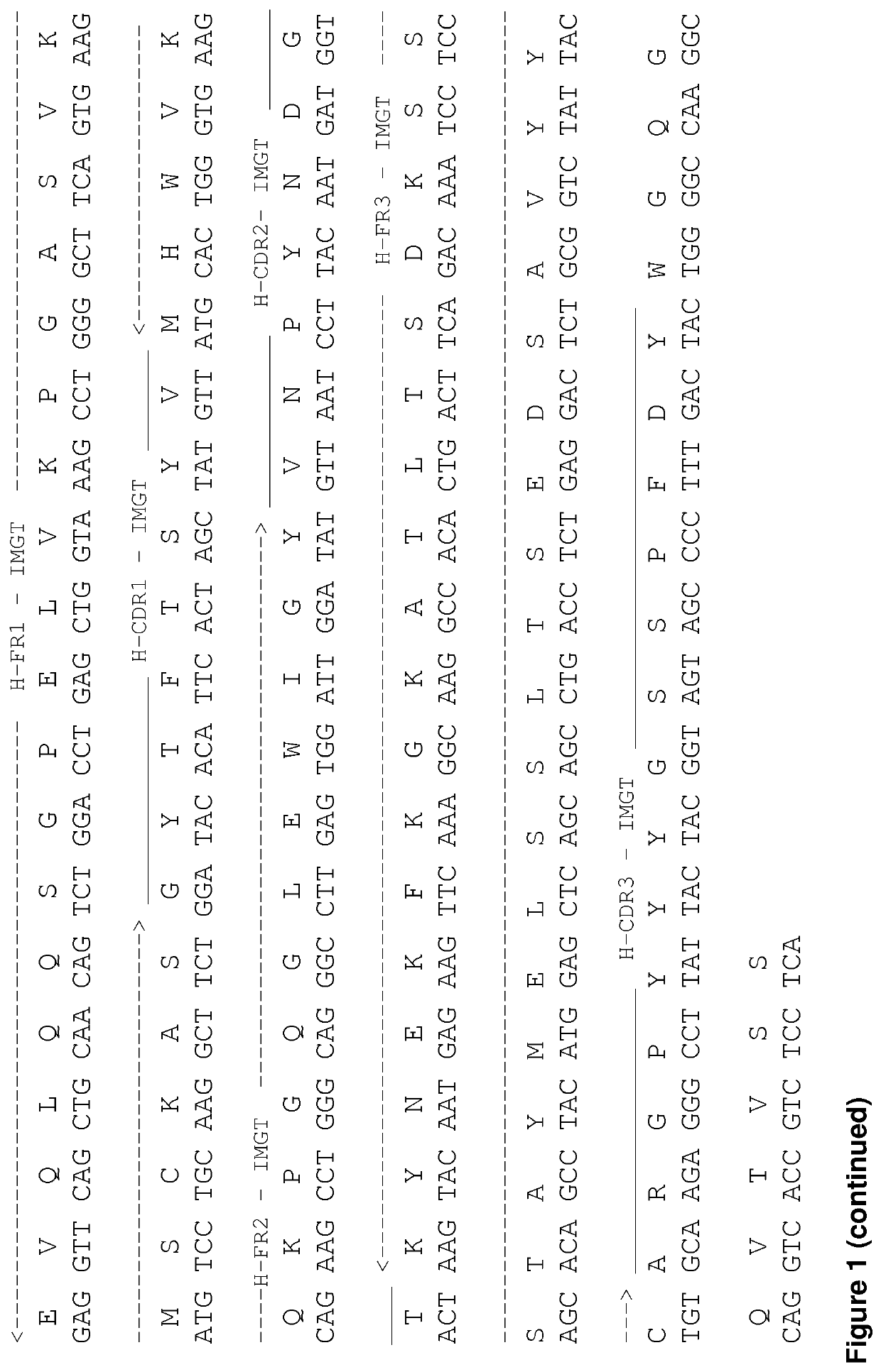 Treatment of b cell malignancies using afucosylated pro-apoptotic Anti-cd19 antibodies in combination with anti cd20 antibodies or chemotherapeutics