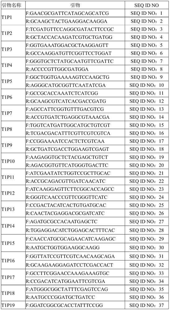 Primer composition for detecting drug resistance genes of mycobacterium tuberculosis drugs and application of primer composition