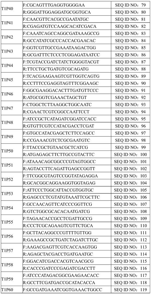 Primer composition for detecting drug resistance genes of mycobacterium tuberculosis drugs and application of primer composition