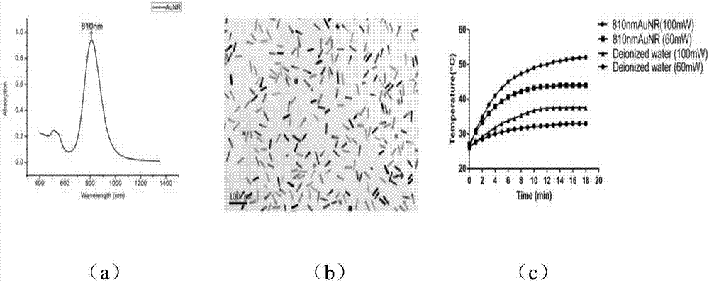 Target PEG (Polyethylene Glycol) modified gold nanorod and AlpcS4 coupled combination as well as preparation, application and antitumor composition thereof