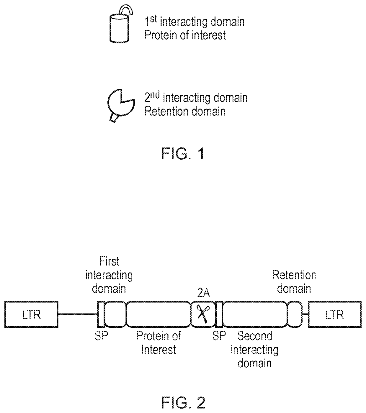 Engineered cytolytic immunecell