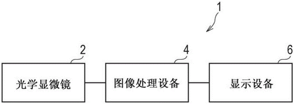 Image processing device, image processing method, program, and storage medium