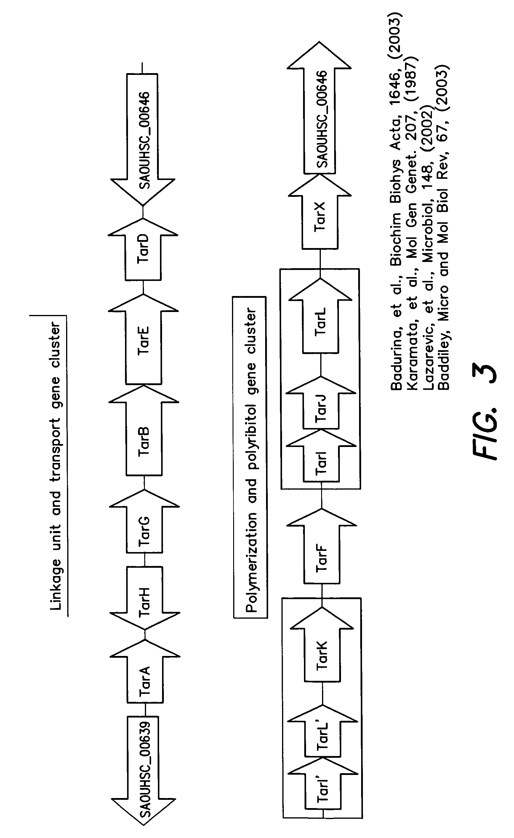 Methods and compounds for antimicrobial intervention