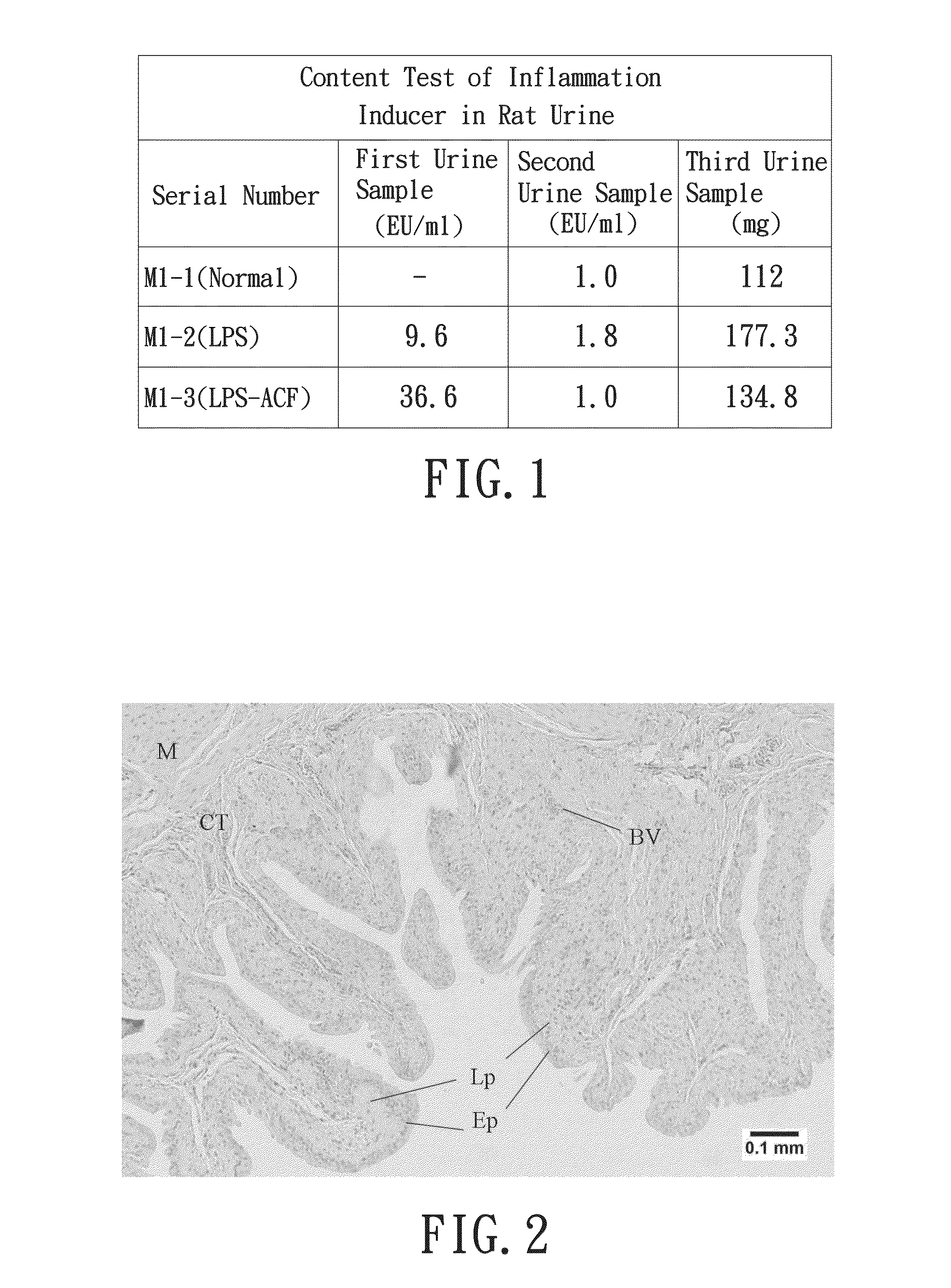 Pharmaceutical composition for treating urinary system disorders