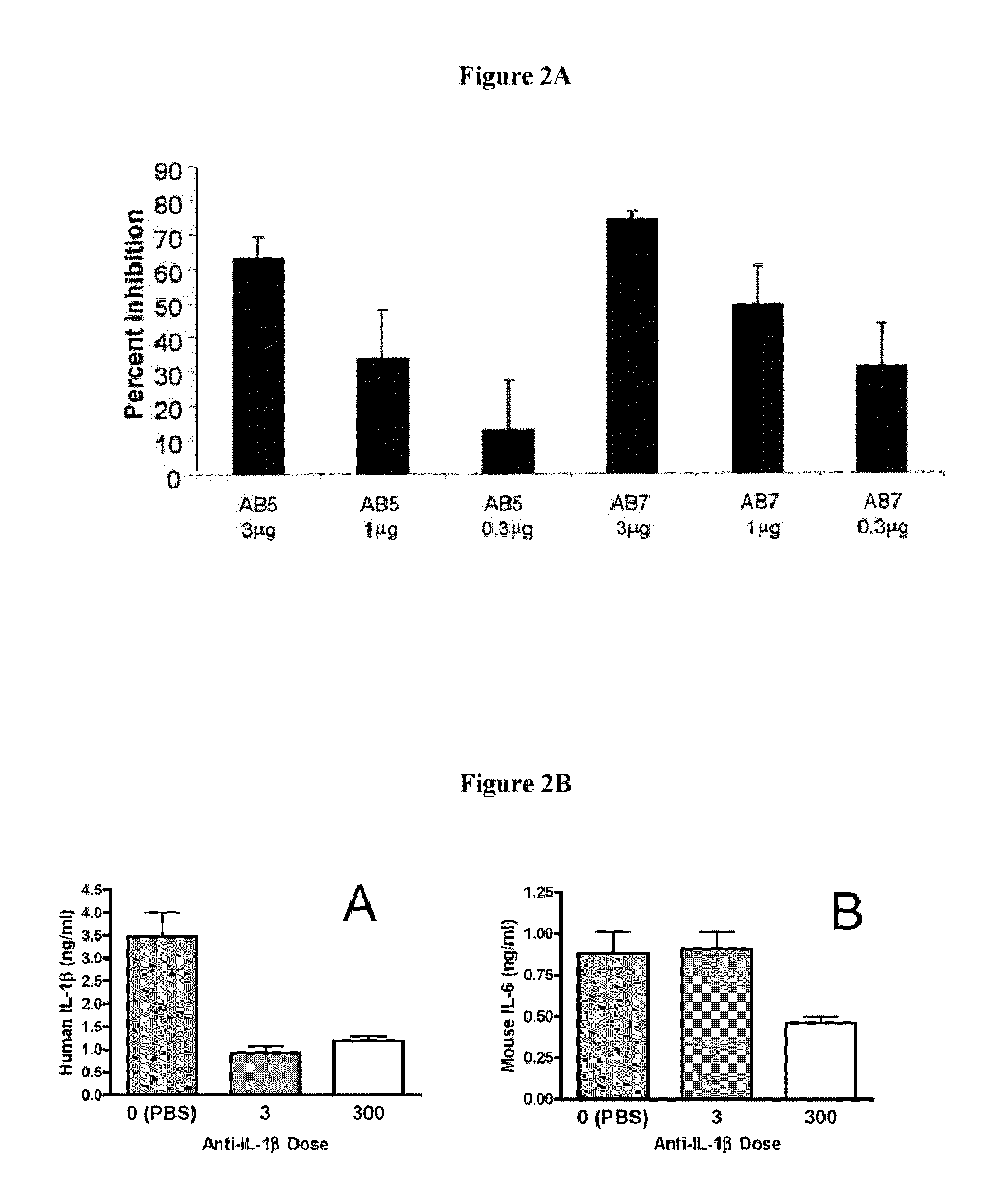 Methods for treating IL-1beta related diseases by administering an anti-IL-1beta antibody