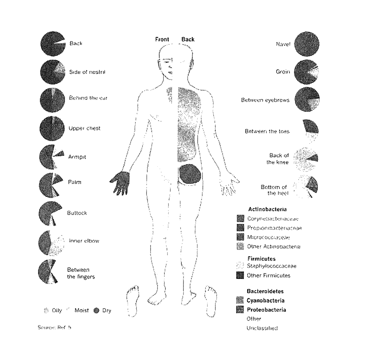 Method of reducing the likelihood of skin cancer in an individual human being