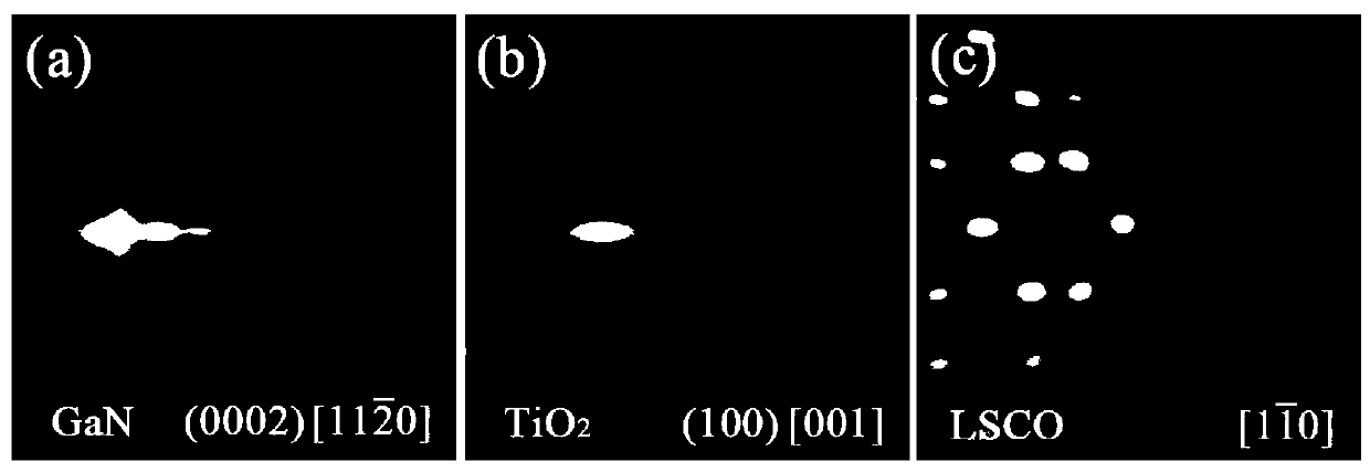 Titanium niobate lead magnesium oxide ferroelectric thin film GaN-based epitaxial integration and its preparation method