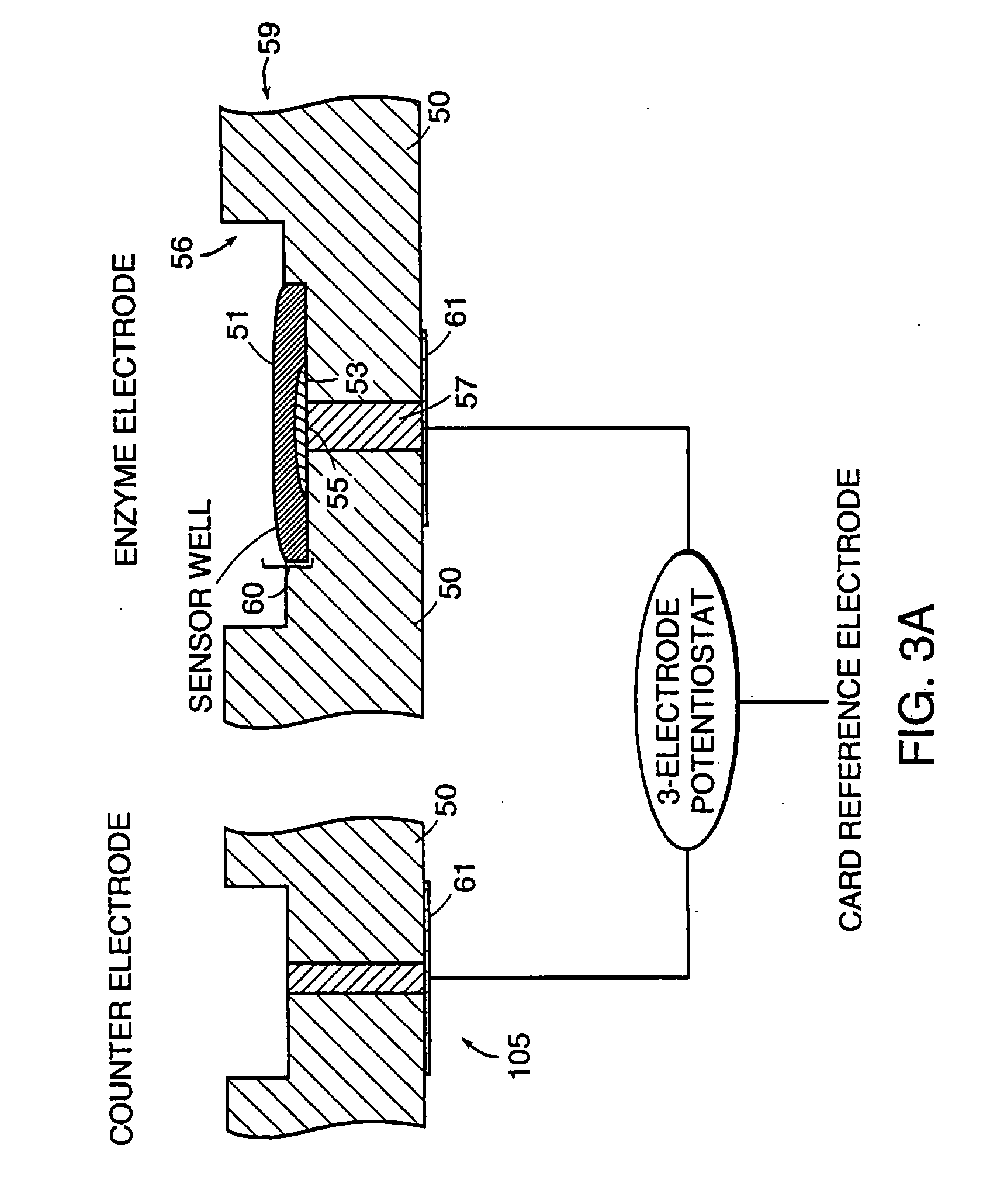 Cross-linked enzyme matrix and uses thereof