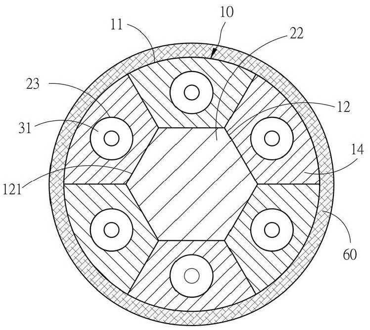 Thermoplastic composite pipe manufacturing device and method