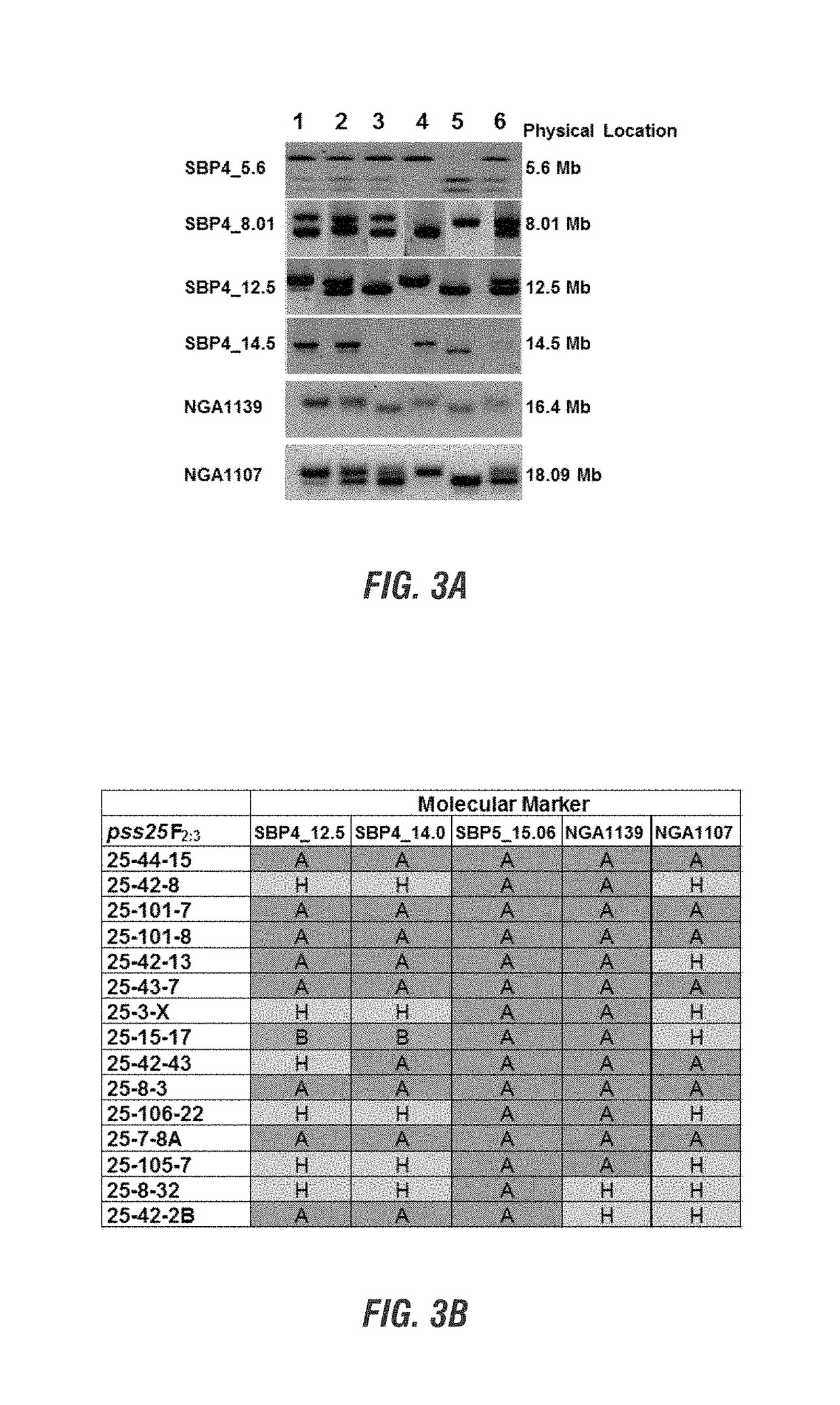 <i>Arabidopsis </i>nonhost resistance gene(s) and use thereof to engineer SDS resistant plants