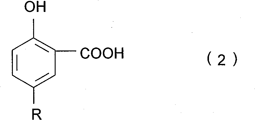 Anti-scaling agent used for hydrogenation plant and its preparation method and application