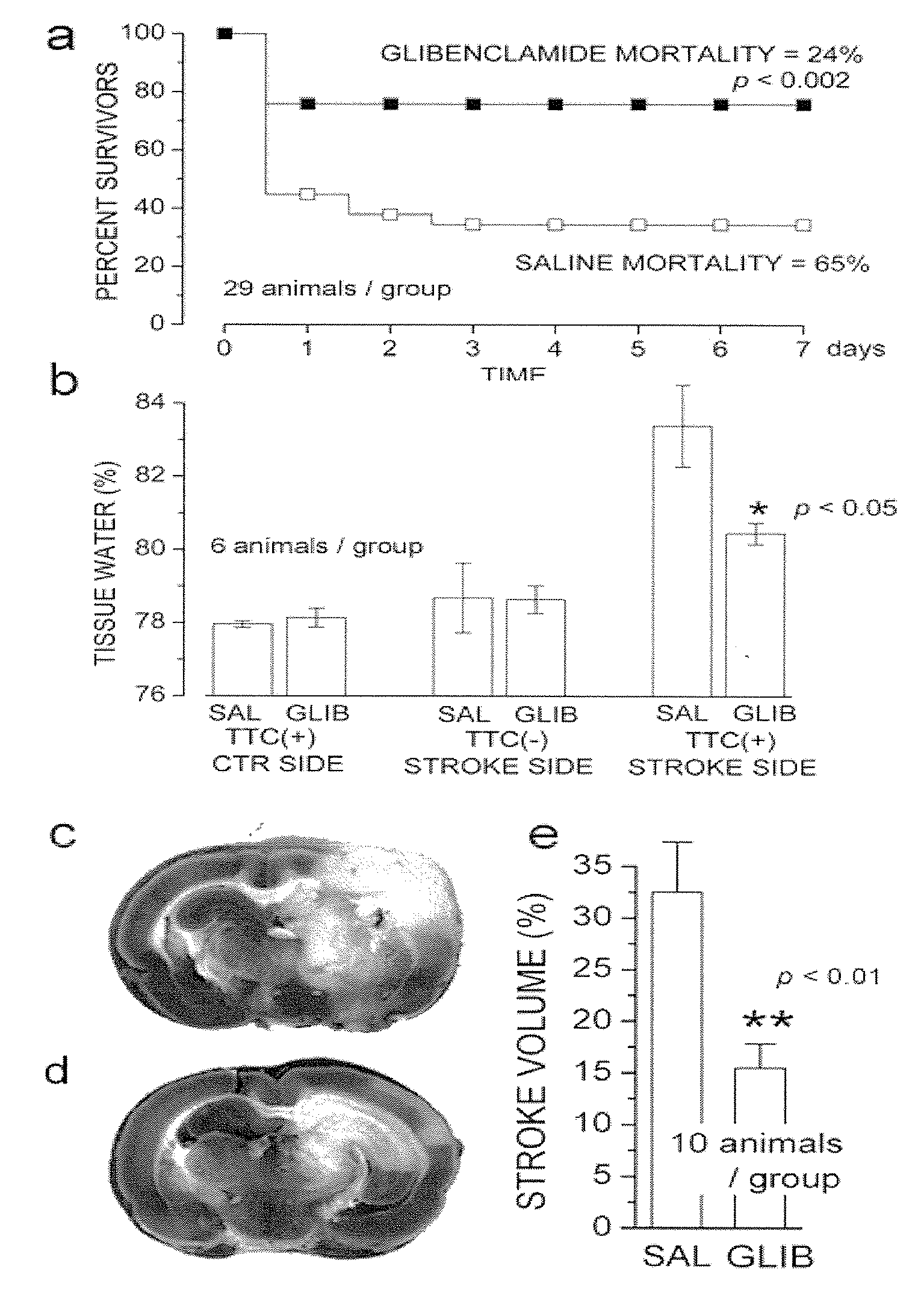 Therapeutic Agents Targeting the NCCA-ATP Channel and Methods of Use Thereof