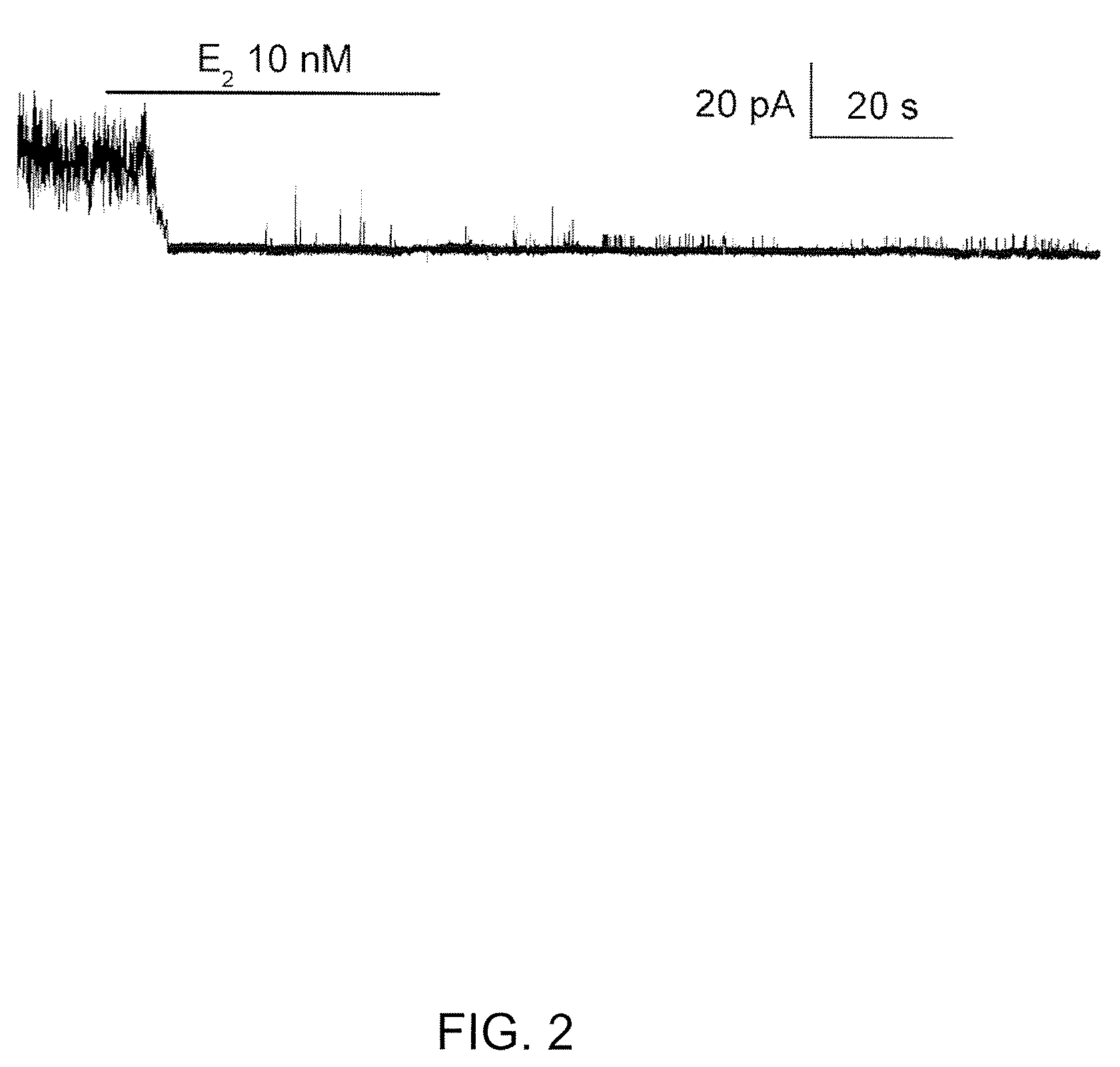 Therapeutic Agents Targeting the NCCA-ATP Channel and Methods of Use Thereof