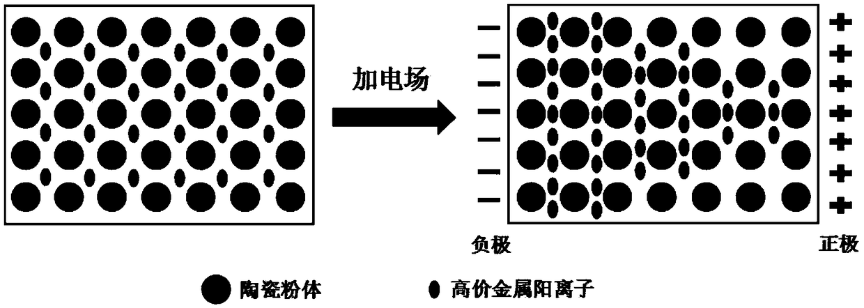 Method for preparing gradient ceramics by electric field-assisted high-valence counter ion controlled release curing