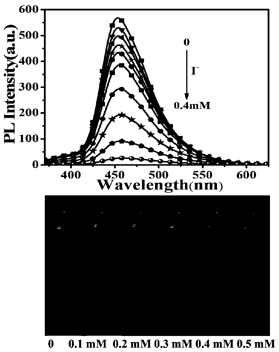 Dendritic molecular organic fluorescent material, application thereof, fluorescent film and preparation method of fluorescent film
