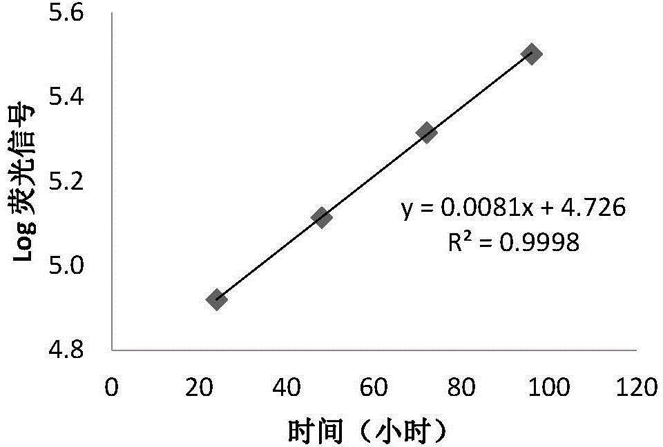 Human bile duct cancer cell line and applications thereof