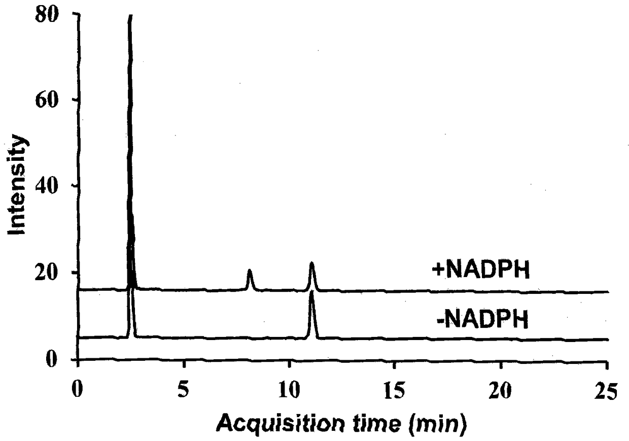 Specific Probe Substrate of Cytochrome p450_3a4 Enzyme and Its Application