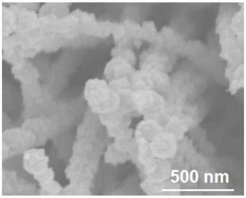 Preparation method of amorphous MoS2-modified CoS/Co0.85Se heterogeneous nanotube array electrocatalyst