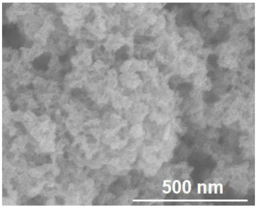 Preparation method of amorphous MoS2-modified CoS/Co0.85Se heterogeneous nanotube array electrocatalyst