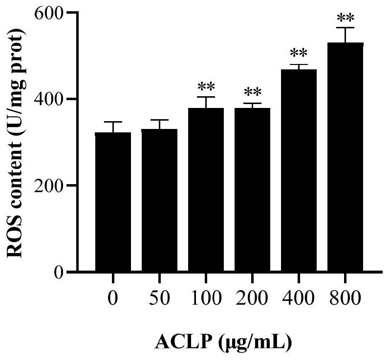 Application of amaranthus caudatus crude polysaccharide in preparation of anti-hepatoma drugs