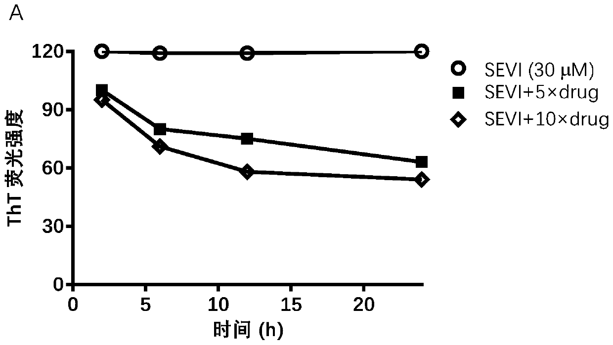 Medicinal use of (3,4-dihydroxyl-5-nitrophenyl)-(4-methylphenyl)ketone