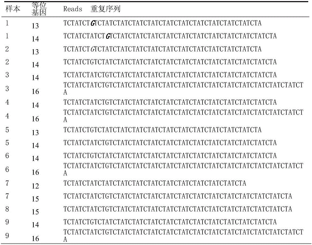 STR typing method for loca D8S1179 based on next generation sequencing